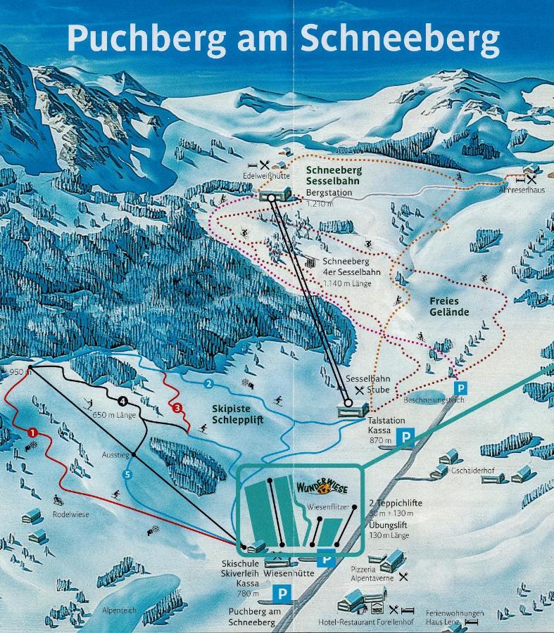Haus Lenz Ferienwohnungen - Fam Ostermann Puchberg am Schneeberg Exterior photo